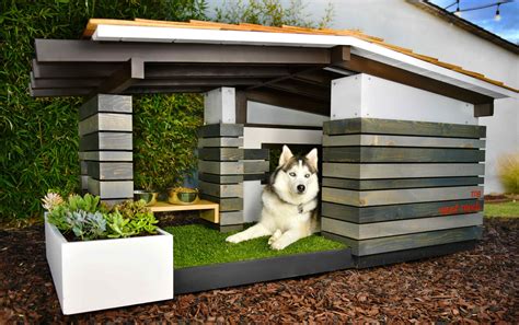 Dog House Ideas for the Special Pup in Your Life