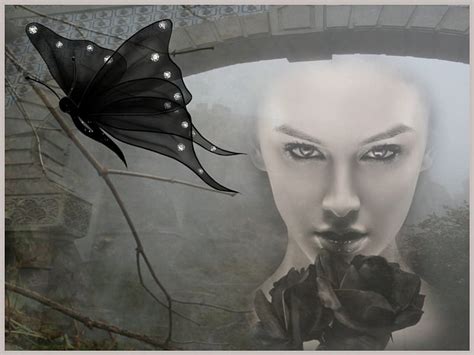 720P free download | BLACK ROSE~BLACK BUTTERFLY, female, butterfly, rose, flower, black, face ...