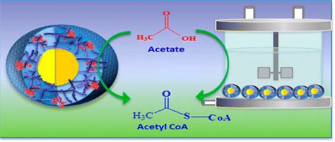 Biocatalysis