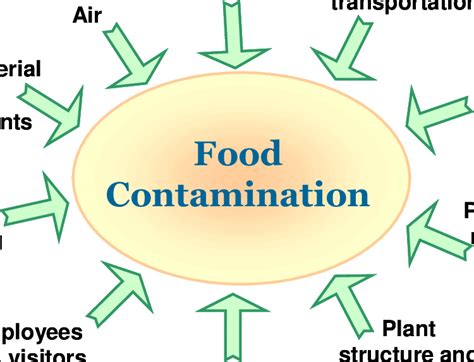 Sources of food contamination | Download Scientific Diagram