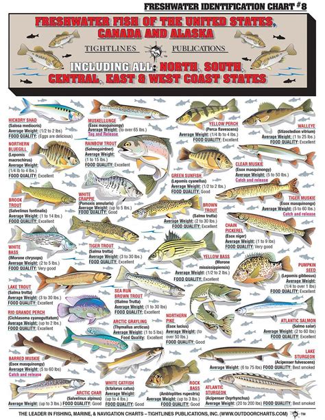 guide to fishing #beginnersfishingequipment | Fish chart, Freshwater ...