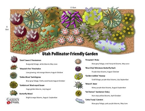 Pollinator friendly garden plan