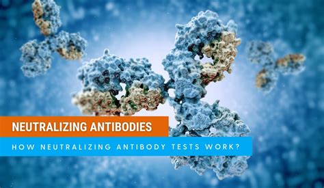 The Benefit of Neutralizing Antibody Tests - Lighthouse Lab Services