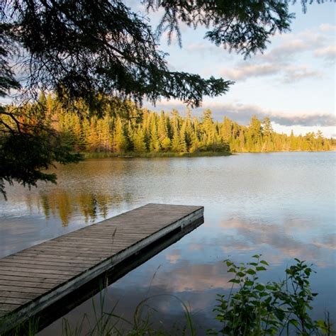 Premium Photo | Pier in a lake, lake of the woods, ontario, canada