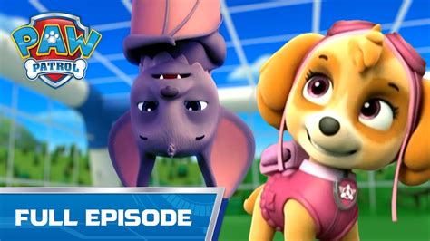 The Pups Save a Bat 🦇 - 121 - PAW Patrol Full Episode - Cartoons for kids - YouTube