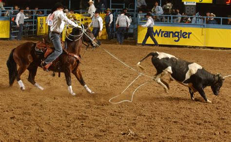 Rodeo Events: Team Roping