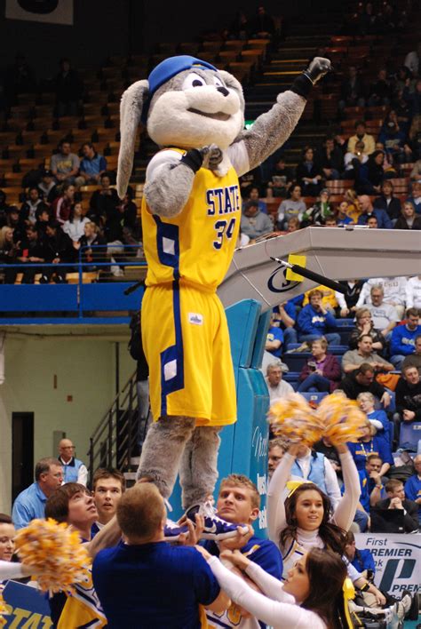 cheering for the Jackrabbits! | Mascot, College sports, Jack rabbit