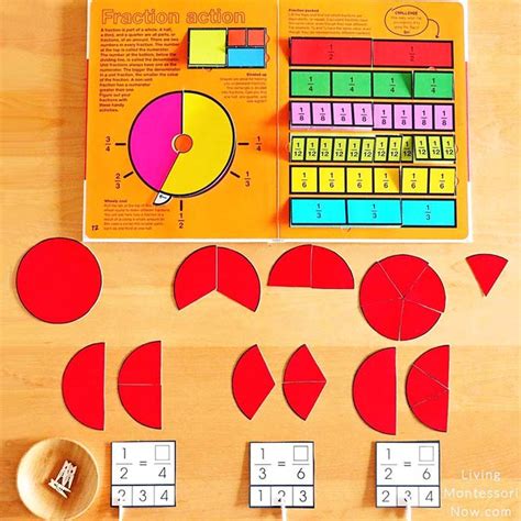 Montessori Fraction Printables for Preschool Through Elementary - Living Montessori Now