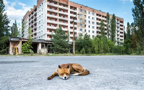 Chernobyl City Now