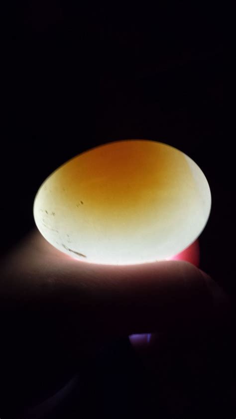 I candled my pekin duck eggs, are they fertile? | BackYard Chickens ...