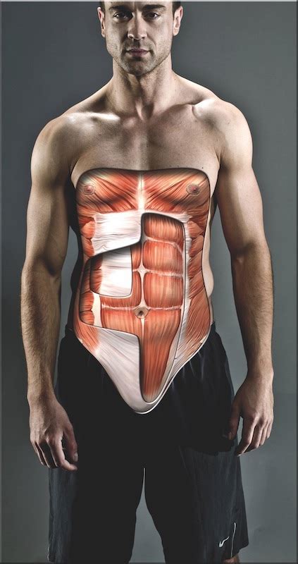 Six-Pack Science: The Anatomy Of Your Abs | Men's Fitness UK