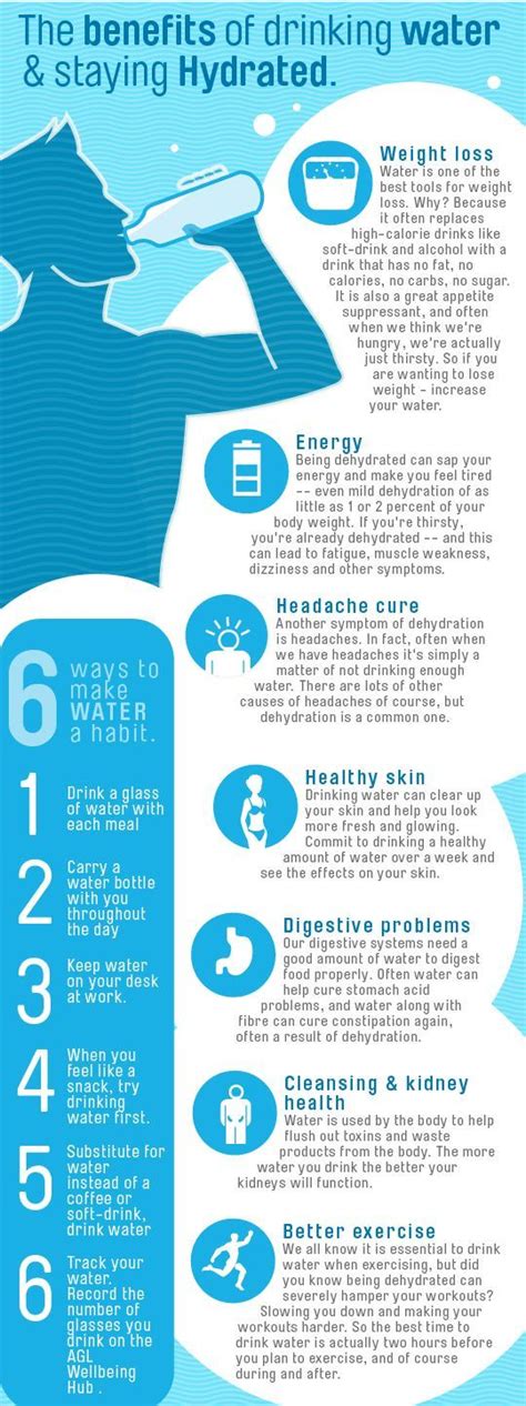 10 Infographics That Help You Drink More Water Effortlessly - LifeHack