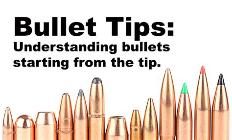 Just The tip. Understanding different bullet types. : Hunting