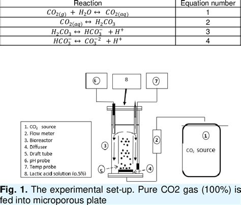 Chemical reactions of dissociation of carbon dioxide in water | Download Scientific Diagram