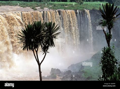 Blue Nile Falls, Ethiopia Stock Photo - Alamy