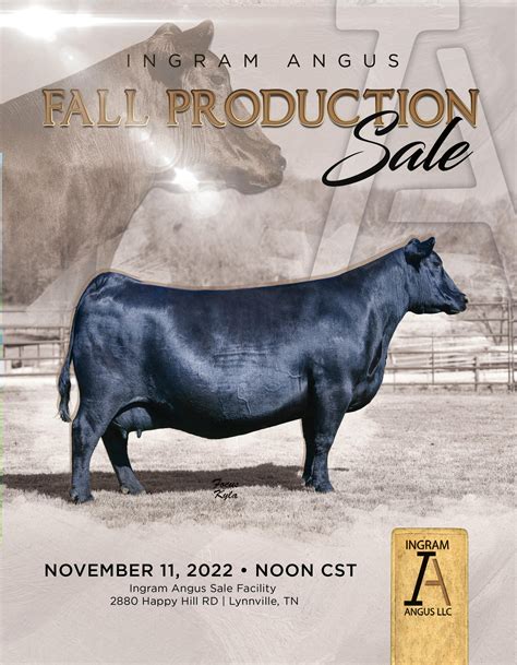 2022 Ingram Angus Sale Catalog by Ranch House Designs - Issuu