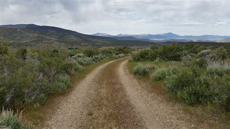 20 acres in Lyon County, Nevada