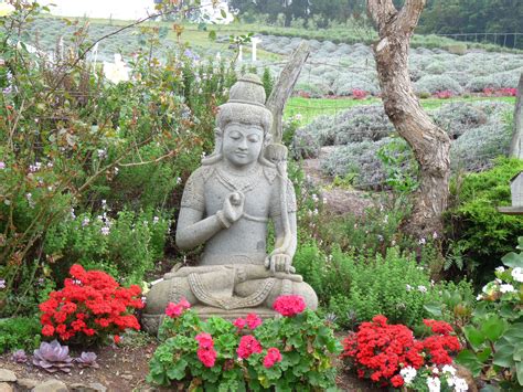 The lavender farm at Kula, Maui | Maui, Lavender farm, Places to travel