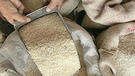 Rice being distributed free of cost to beneficiaries covered under ...