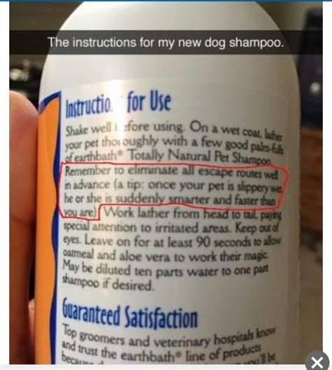 Instructions for dog shampoo : r/funny