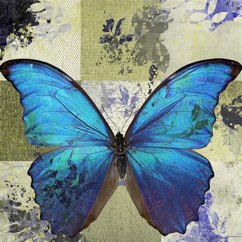 Butterfly Art - S02b Digital Art by Variance Collections