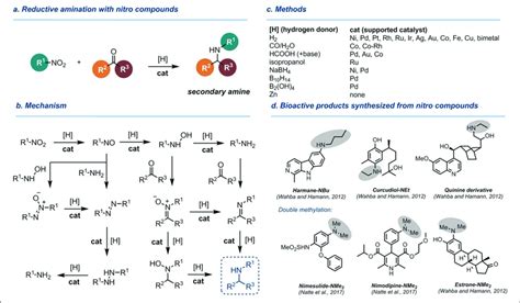 | Reductive amination of aldehydes and ketones with nitro compounds.... | Download Scientific ...