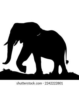 Silhouette Walking Elephant Side View Stock Illustration 2280612013 ...