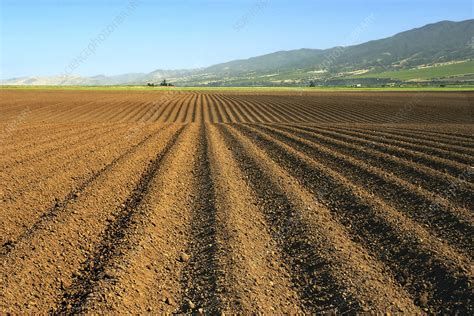 Ploughed field - Stock Image - E770/1851 - Science Photo Library