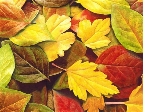 Autumn Leaves, Watercolor Art by Kat Skinner | Autumn leaves art, Watercolor autumn leaves, Leaf art