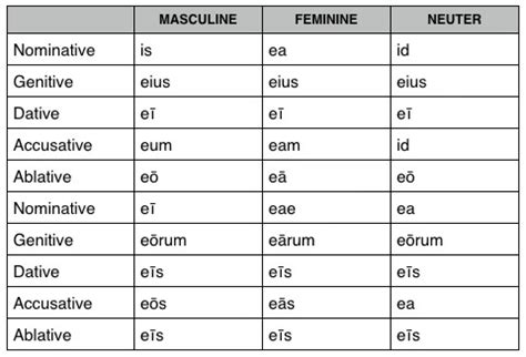 Latin Grammar, Ch. 10 Flashcards | Quizlet