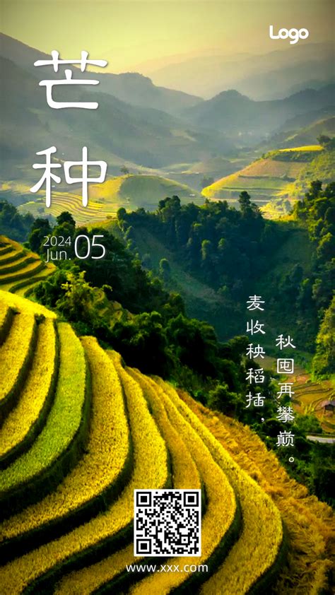 二十四节气芒种简约实景/手机海报-凡科快图