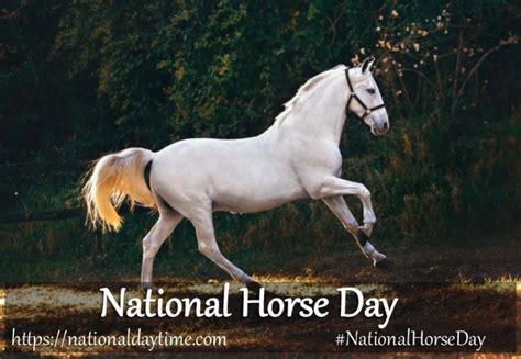 National Horse Day 2022: When & How to Celebrate? - Nationaldaytime.com