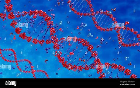 human dna chain. Genome structure. helix molecule in the body Stock Photo - Alamy