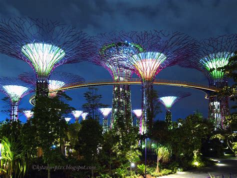 hjtann photo blog: Supertrees - Gardens by the Bay