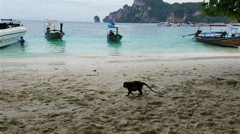 Monkey Island Krabi