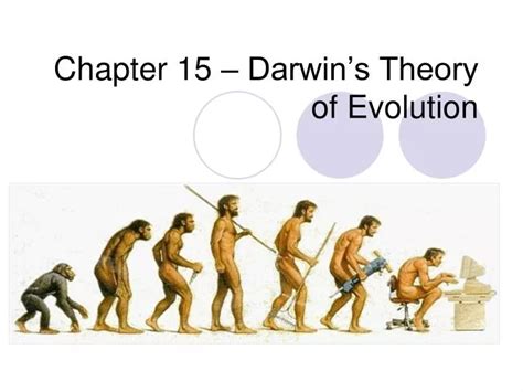 PPT - Chapter 15 – Darwin’s Theory of Evolution PowerPoint Presentation - ID:5434485