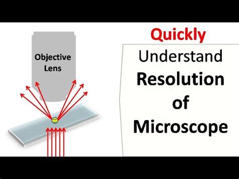 What Is The Max Magnification Of A Light Microscope | Americanwarmoms.org