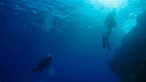 Scuba Diving in the Maldives • Elite Havens MAGAZINE