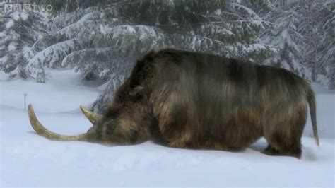The End of the Woolly Rhino - Ice Age Giants - Episode 3 Preview - BBC Two - YouTube