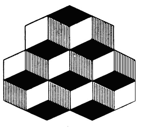 cube de beaunis | Optical illusions, Optical illusion quilts, Optical illusion images