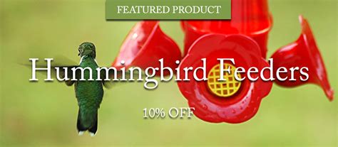 hummingbird-feeders - Lakeview Nurseries