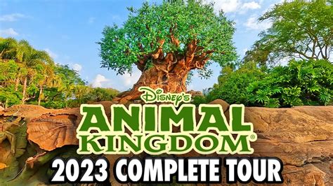 Disney's Animal Kingdom 2023 - Walkthrough & Rides at Walt Disney World ...