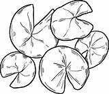 Lily Pads coloring page  ColouringPages sketch template
