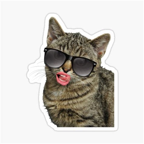 "cat funny meme" Sticker for Sale by LuyBestDesign | Redbubble