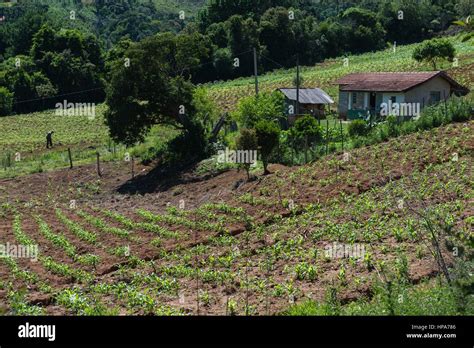 Small farm in the mountains near Camanducaia, Minas Gerais State ...