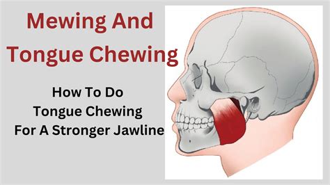 What Is Tongue Chewing Exercise (MEWING) and How To Do it For A Stronger Jawline