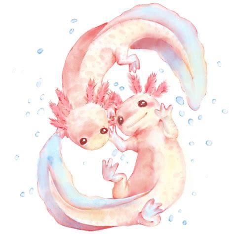 Adorable Axolotls Wallpapers - Wallpaper Cave