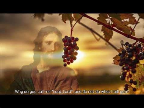 Luke [6:43-49] A Tree and Its Fruit, The Two Foundations - YouTube