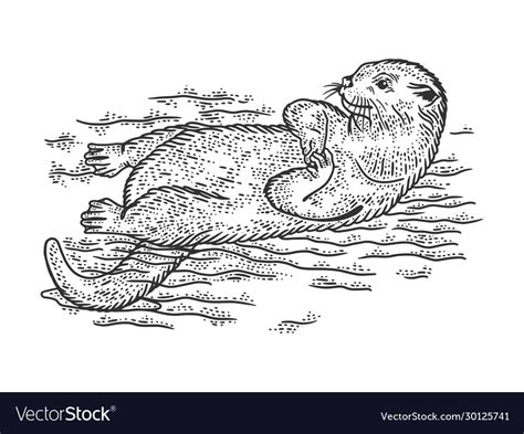 Swimming Otter Drawing