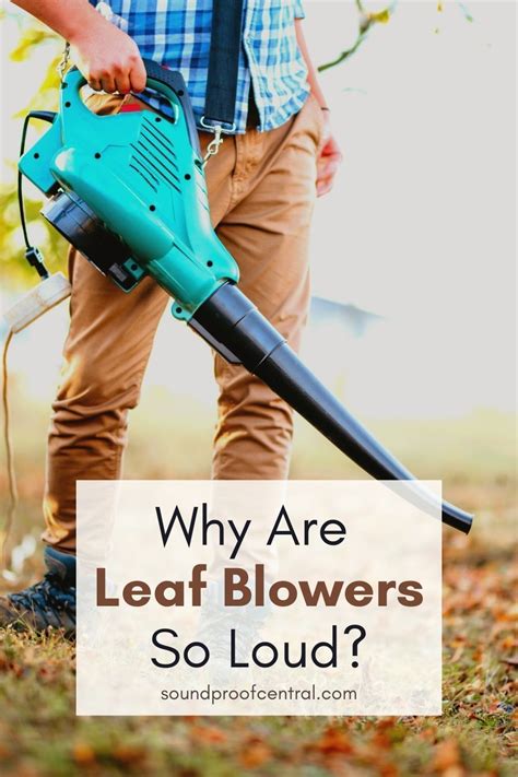 Leaf blowers are an incredibly useful tool. However, the loud noises ...